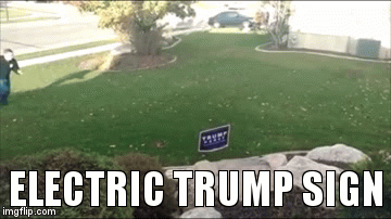 politics fail GIF