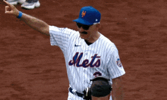 New York Mets Baseball GIF