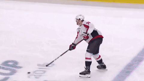 stanley cup hockey GIF