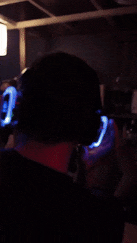 Party Fun GIF by RGB Disco