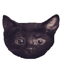 ninja STICKER by imoji