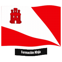 Castilla Y Leon Flag Sticker by Formación Ninja