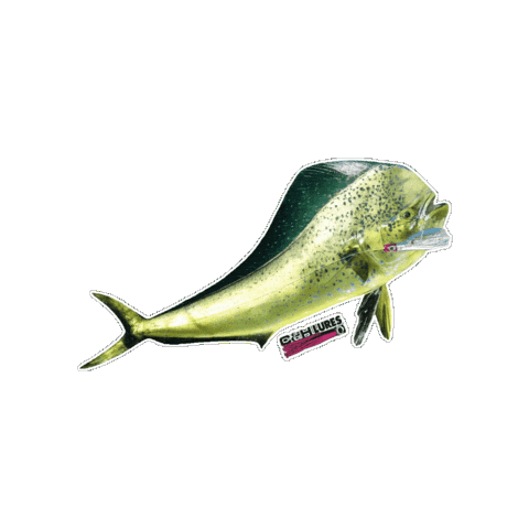 Fishing Tackle Fish Sticker by AFW Fishing Brands