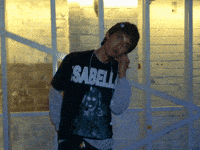 Van Buren Phoenix GIF