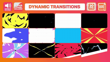 Dynamic Transitions Collection