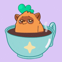 Tea Simmering GIF by Moku