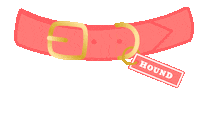Instadog Sticker by HOUNDcollection
