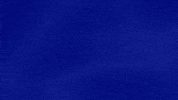 Whos Your Bias GIF by Jeopardy!