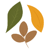 Autumn Leaves Fall Sticker by Regatta Great Outdoors