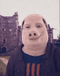 John Pork GIF by STRAPPED!
