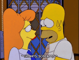 homer simpson episode 3 GIF
