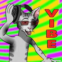 Vibe Cets GIF