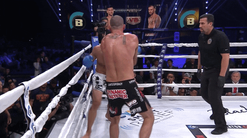 Knock Out Surprise GIF by Bellator