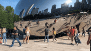 amaurs 3d chicago iphone bean GIF