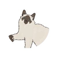 Cat Sticker