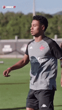 Vasco Tv GIF