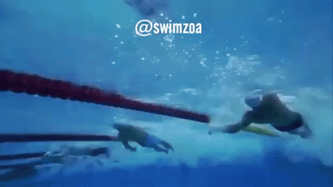 skillsnt giphyupload GIF