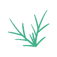 Flower Grow Sticker by whatafest