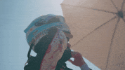 Formulae Nismoteam Nismo Nissanformulae Nissanmotorsport Sachafenestraz GIF by Nissan Motorsport