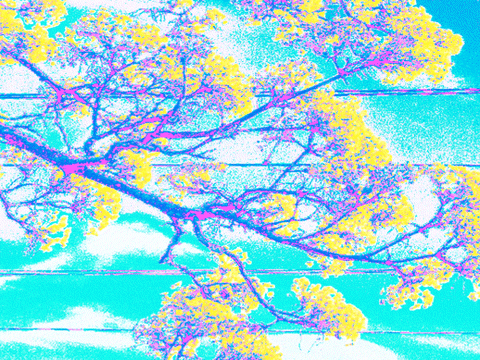 nklb loop psychedelic spring hyperspektiv GIF