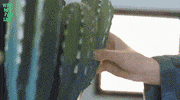 it crowd phone GIF by funk