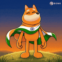 Waving India Flag GIF by BONK