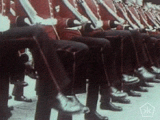 Pan Am Vintage GIF by Okkult Motion Pictures