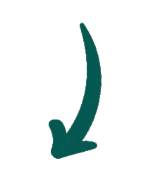 Arrow Sticker by All Nutrition