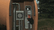 Vr Mudrunner GIF by Saber Interactive
