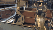 Bhola 5Centimeterspersecond GIF