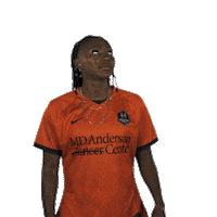 Womens Soccer Idk Sticker by Houston Dash