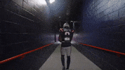 Football Nfl GIF by New England Patriots