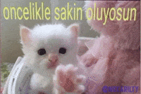 Sakin GIF