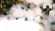 Baylor Bears Baylorfootball GIF by Baylor Athletics