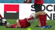 World Cup Sport GIF by World Rugby