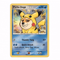 Shiba Inu Parody GIF by Doge Pound