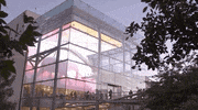 NHMLAC nature california la los angeles GIF