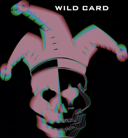 Wildcardsc wildcard GIF