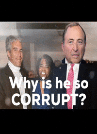 Gary Bettman GIF