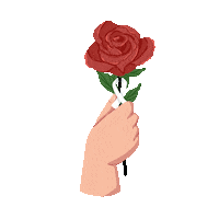 nizart_palette flag freedom watermelon nation Sticker