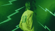 Bison GIF by NDSU Athletics