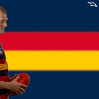 Wink Rob GIF by Adelaide Crows