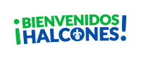 Mexico Veracruz Sticker by Universidad Veracruzana