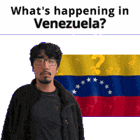 Venezuela Sticker
