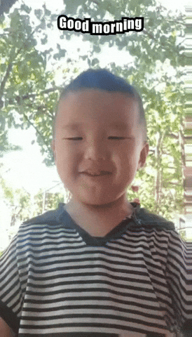 a98f73fe98f84629bbcc41e2d11c4 good morning giphycreatortest GIF