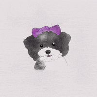 Dog Puppy GIF