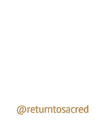 ReturntoSacred giphyupload meditation bloom spiritual Sticker