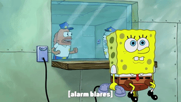 season 9 episode 13 GIF by SpongeBob SquarePants