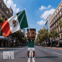 Viva Mexico Football GIF by Meebits