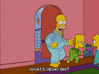 homer simpson episode 13 GIF